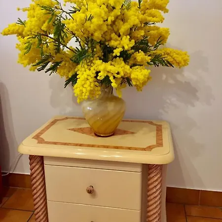 Appartement Rue De France Le Renoir Nice